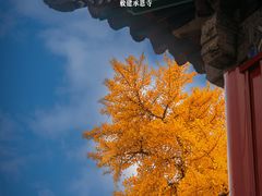-承恩寺