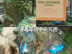 -LuOne凯德晶萃广场(徐家汇路店)