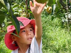 -云河农家乐饭店(福禄缘树山店)