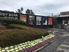 -济州岛泰迪熊博物馆