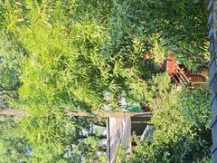 -一江春水·杭帮臻宴(三台山店)