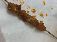 -胖太太四川麻辣排骨串(镇江路分店)