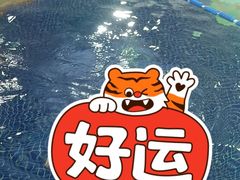 -蓝旗游泳·青训·亲子水域中心(方庄中心)