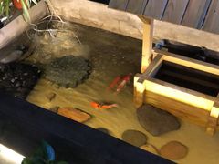 -湘与香缘·湖南菜(王府井北京市百货大楼店)