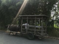 -杭州双溪漂流景区