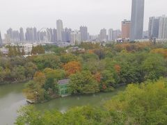 -浮庄