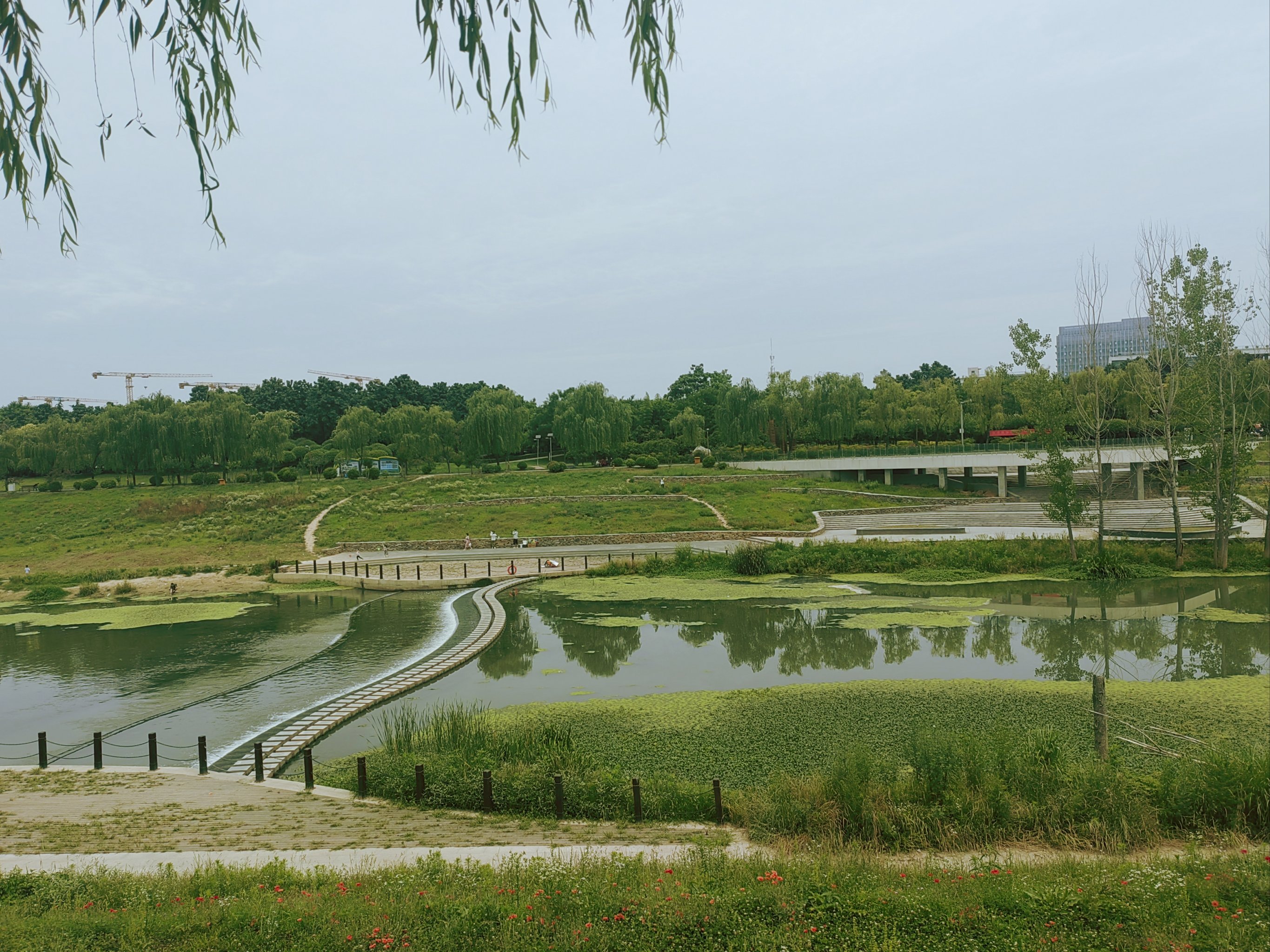 洨河生态公园是一个集自然美景,休闲娱乐于