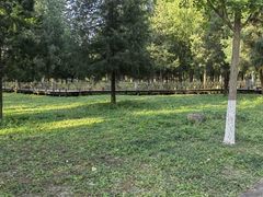-东升八家郊野公园