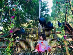 -海南槟榔谷黎苗文化旅游区