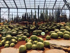 -南通洲际绿博园