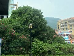 -平湖九龙山乐满地水上乐园