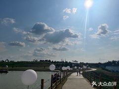 -空港花田景区