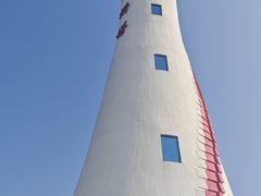 -红树林天天赶海