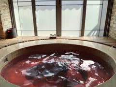 -中家鑫园温泉酒店鑫悦汤泉