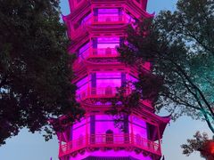 -绳金塔