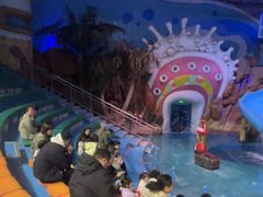 -烟台海昌鲸鲨海洋公园