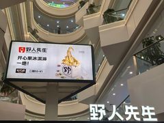 -野人先生Gelato(上海长宁龙之梦店)