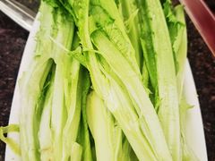 凤尾-钦善斋(武侯祠店)