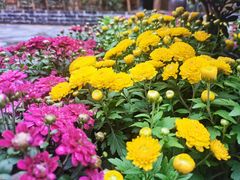 -岳城根据地(洣江大道店)