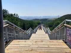 -大青山野生动物园