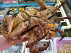 -霞涌市场海鲜摆卖区
