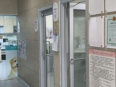 -谐和益家动物医院·免疫绝育·血液透析·宠保定点医院(高新伊藤分院)