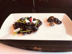 芥末黑木耳-上海小南国(正大店)