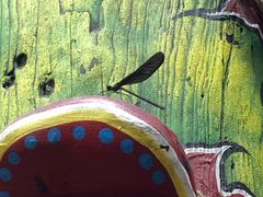 -大玩家(哈尔滨悦荟店)