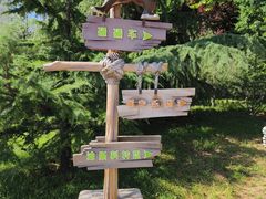 -辛玛王国游乐园