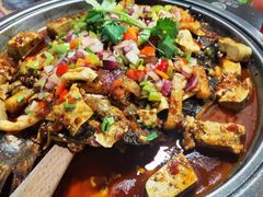 -探鱼·鲜青椒爽麻烤鱼(广州花都来又来店)