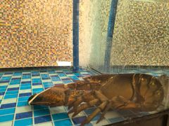 -上海明天广场JW万豪酒店