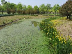 -东郊湿地公园
