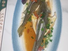 -33号大院·青岛本帮菜(五四广场店)