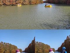 -上海海湾国家森林公园