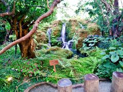 -Chom Cafe and Restaurant