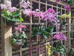 -南山植物园
