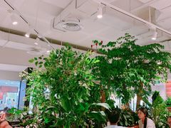 大堂-必胜客(百联又一城店)