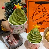 手心里的圣诞树🎄