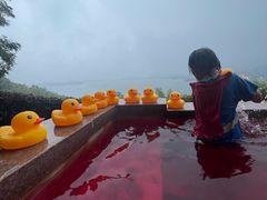 -天目湖涵田半山温泉