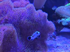 -海合安武汉极地海洋公园