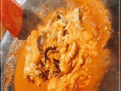 -红辣椒八爪鱼特色韩国料理