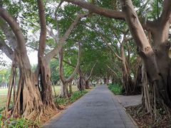 -万绿园