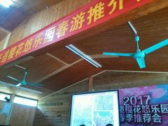 -天适樱花悠乐园