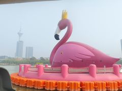 -天津水上公园