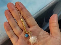 -翡翠森林宠物火化殡葬(通州店)