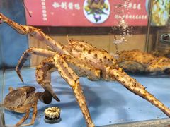 -谊荣海鲜大牌档(石湖店)
