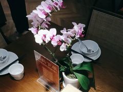 -小户人家(循礼门南国中心店)