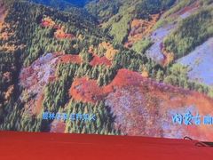 -内蒙古驻京办餐厅