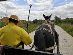 -水洞沟旅游区