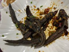 -罗源湾8号渔排